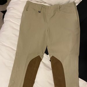 horse show breeches